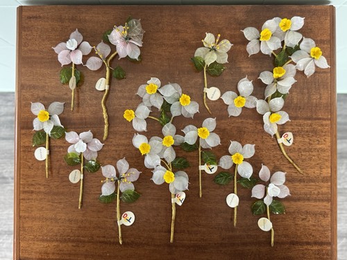 Stock fiori vetro - vetro, di